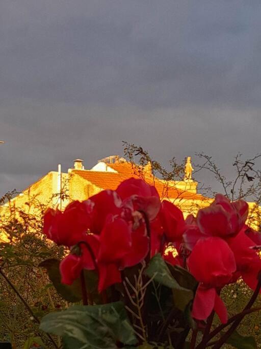 Вилла At The Foot Of Acropolis. Афины Экстерьер фото